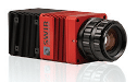 Acuros® CQD® sensors and camera technology deliver the highest resolution SWIR images wherever superior infrared clarity is needed.